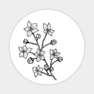 Cherry Blossom Branch-- floral, hand drawn, gifts for plant lovers Magnet